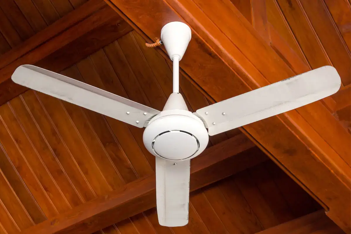 بهترین پنکه سقفی ارشیا-شاپ خونه